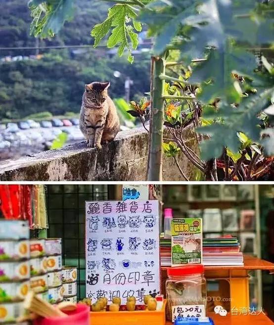 就算去過台灣,這些地方你肯定沒去過,超贊台灣小眾旅行攻略
