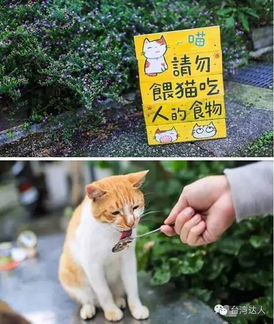 就算去過台灣,這些地方你肯定沒去過,超贊台灣小眾旅行攻略