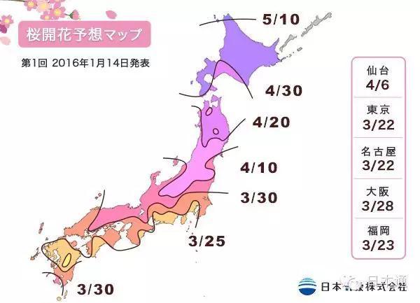 2016年櫻花開放時間表新鮮出爐啦!