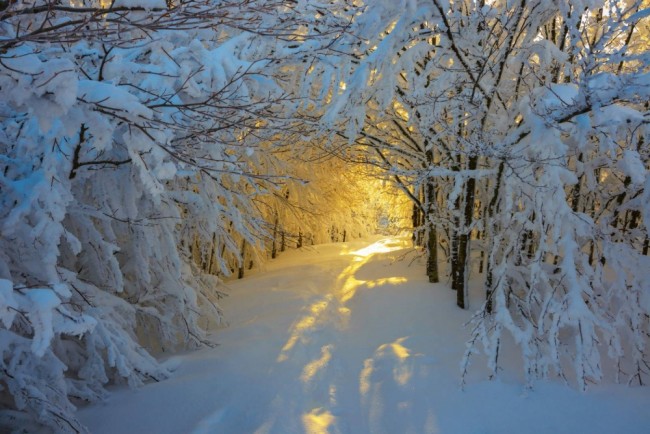 Winter Peace：20 個來自世界各地讓人心靈平靜的美好冬日景像