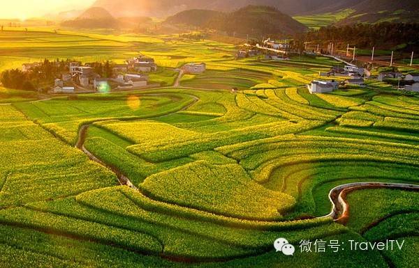 2016年你會和誰一起去看花開似海?