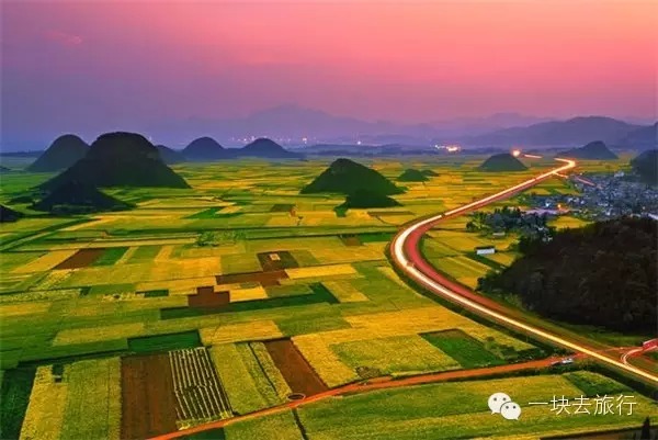 2016年你會和誰一起去看花開似海?