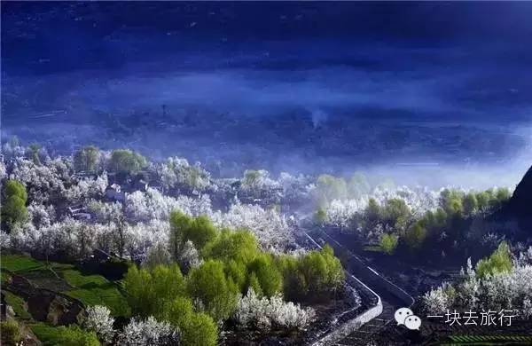 2016年你會和誰一起去看花開似海?