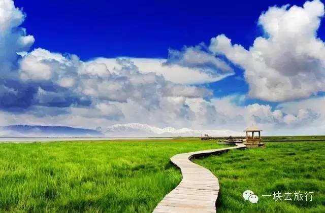 2016年你會和誰一起去看花開似海?