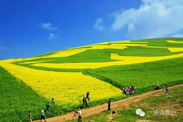 2016年你會和誰一起去看花開似海?