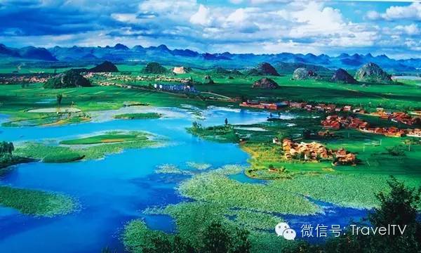 2016年你會和誰一起去看花開似海?