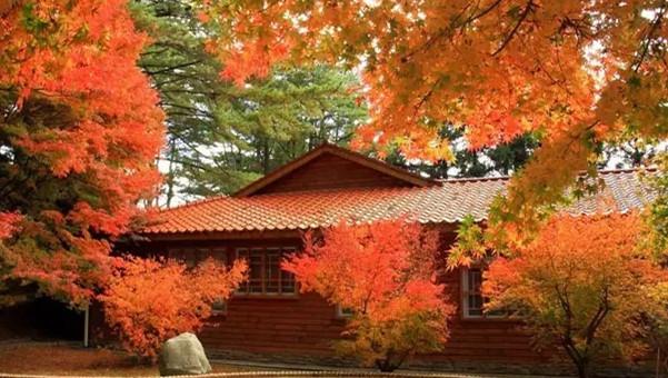 台灣人真正感興趣的10個景點,2015年爆紅網絡你卻未必聽說
