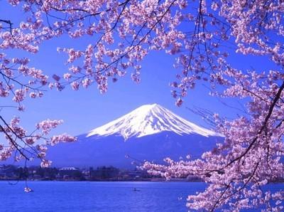 春節日本游火爆：遊客該注意的地方有哪些？