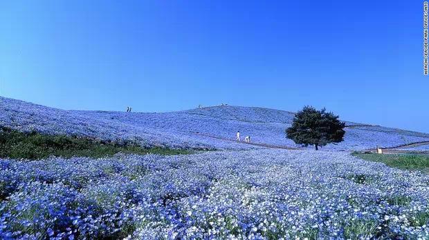 日本最美的15個地方，你去過幾處？