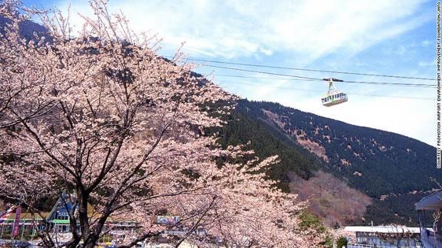 日本最美的15個地方，你去過幾處？