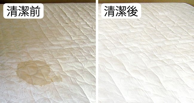 揮別化學藥劑：10種清潔小妙招