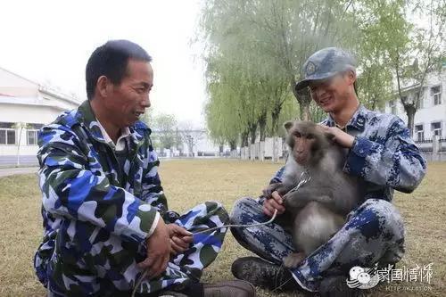 猴年來啦!揭秘解放軍唯一猴兵部隊
