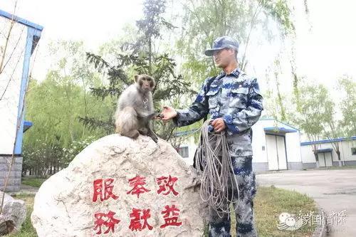 猴年來啦!揭秘解放軍唯一猴兵部隊