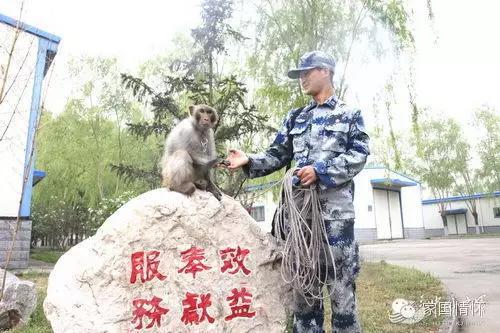 猴年來啦！揭秘解放軍唯一猴兵部隊