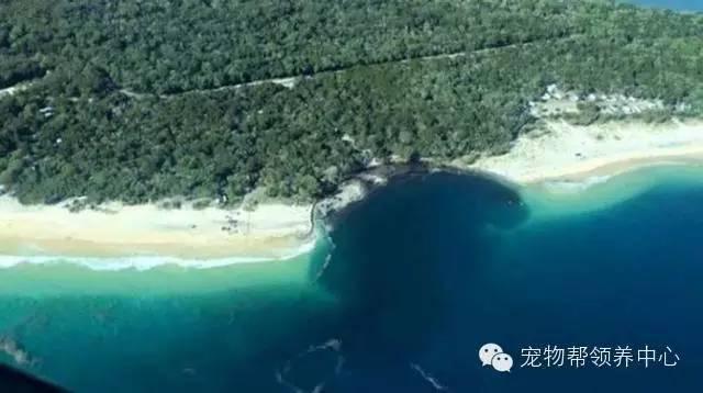 20張驚悚澳洲照片告訴你，到了澳洲也就回到了《侏羅紀公園》！澳洲真的太恐怖了！