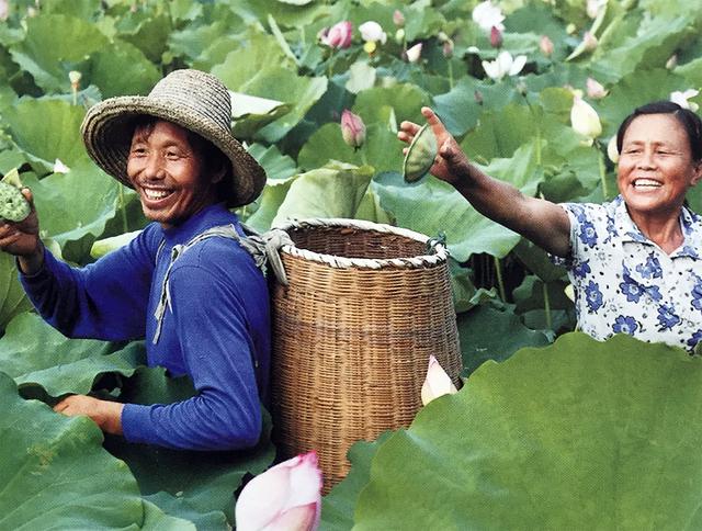 這個地方竟然有上百個100歲老人,原因竟然是它