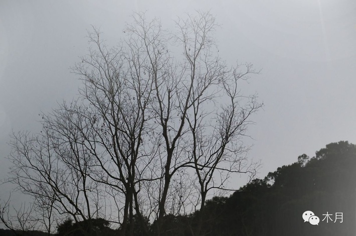 借我一段笑,擺渡這滄桑..