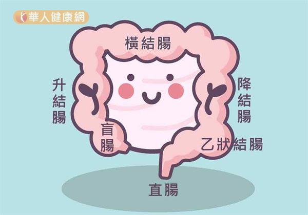 頻放臭屁是大腸癌前兆?原來排氣有這4種