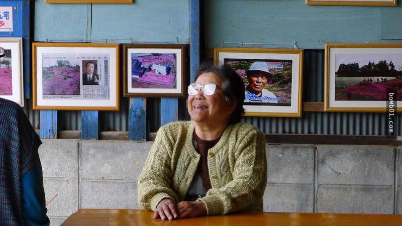 86歲阿伯在房子外種滿一大片的芝櫻後吸引無數人,當他說出背後原因時大家都聽到感動噴淚啊!