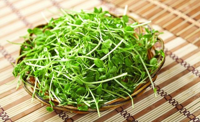常吃這6種綠色食物!真不勞醫生開藥方!別說我沒告訴你!