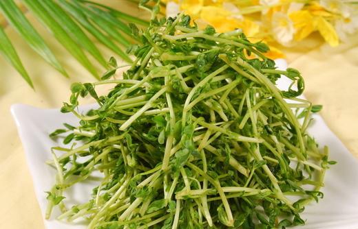 常吃這6種綠色食物!真不勞醫生開藥方!別說我沒告訴你!
