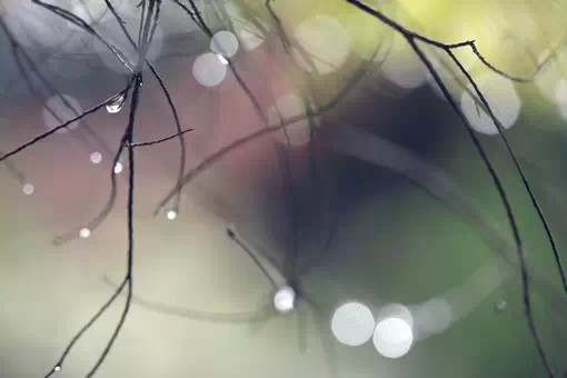 因為喜歡,所以情願,沒有那麼多為什麼...