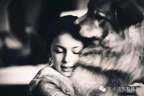 狗狗做的這11件事情，有時候，我們竟做不到！