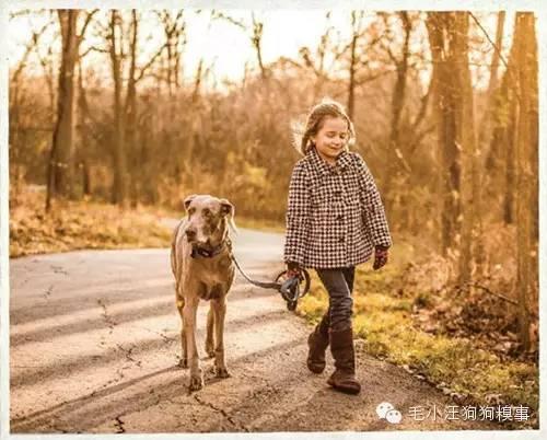 狗狗做的這11件事情，有時候，我們竟做不到！