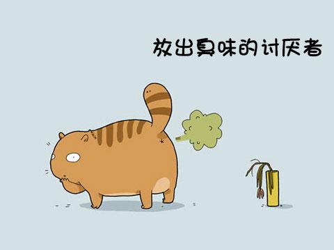 12类型喵星人 快看看你家的属于哪一种!