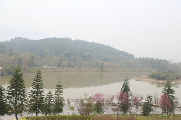 台灣清山綠水田野綠世界