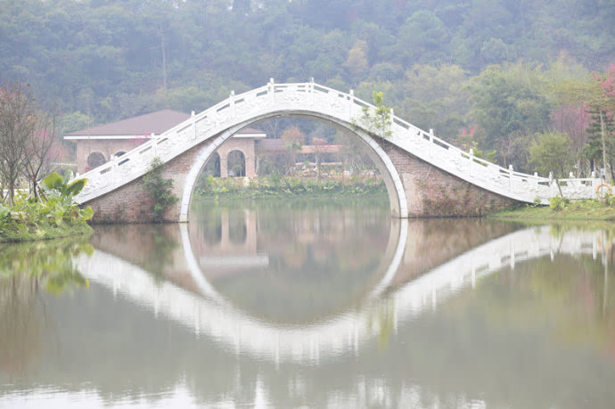 台灣清山綠水田野綠世界