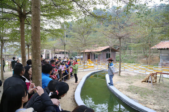 台灣清山綠水田野綠世界