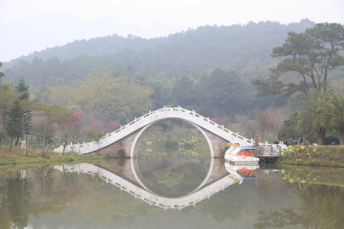 台灣清山綠水田野綠世界