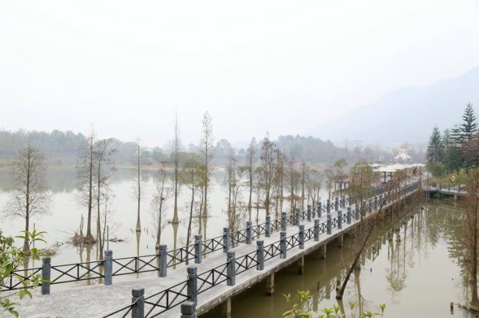 台灣清山綠水田野綠世界