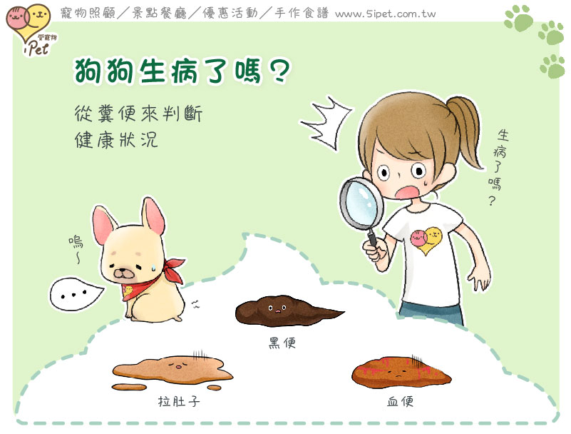 狗狗生病了嗎?(便便篇)