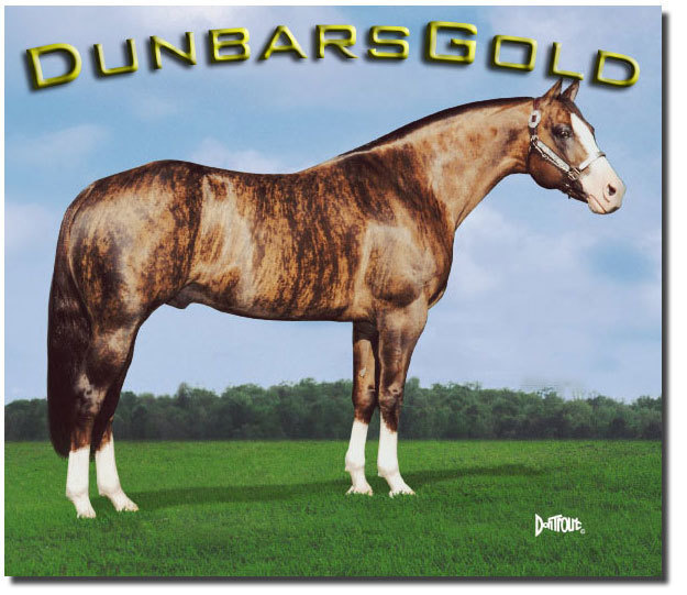 Dunbar's Gold is a peculiar type of brindle horse.
