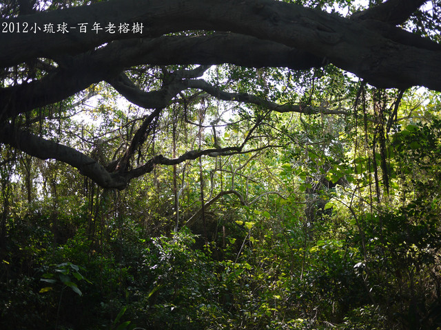 小琉球必吃必玩...