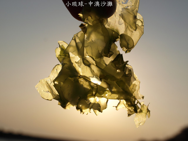 小琉球必吃必玩...