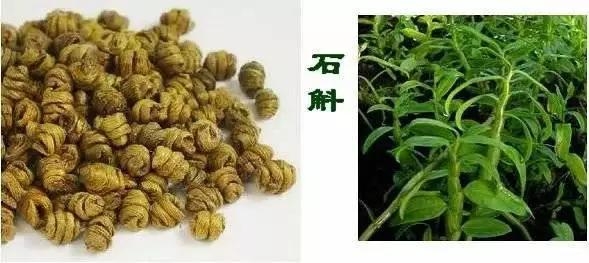 這些中藥都超便宜,但對健康都有大益處!健胃、排宿便、化痰、止咳…全都有!