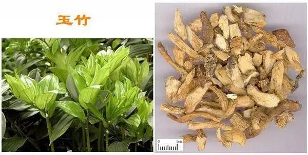 這些中藥都超便宜,但對健康都有大益處!健胃、排宿便、化痰、止咳…全都有!
