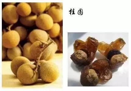 這些中藥都超便宜,但對健康都有大益處!健胃、排宿便、化痰、止咳…全都有!
