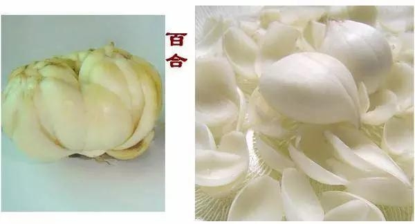 這些中藥都超便宜,但對健康都有大益處!健胃、排宿便、化痰、止咳…全都有!