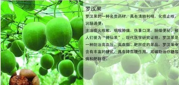 這些中藥都超便宜,但對健康都有大益處!健胃、排宿便、化痰、止咳…全都有!