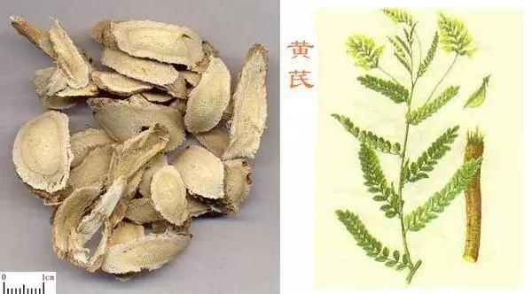 這些中藥都超便宜,但對健康都有大益處!健胃、排宿便、化痰、止咳…全都有!