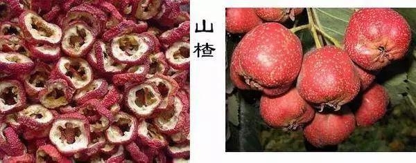 這些中藥都超便宜,但對健康都有大益處!健胃、排宿便、化痰、止咳…全都有!