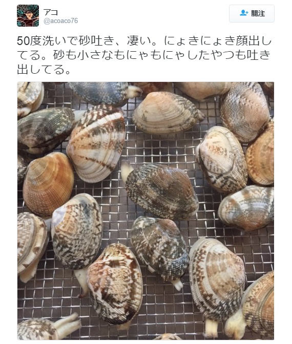 1459550932616.jpg