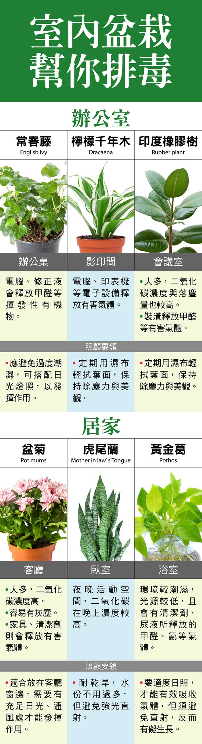 盆栽界的「超級負離子機」!家裡只要養一盆,就能把壞空氣吸光光!!