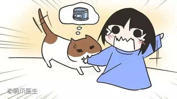 為啥貓咪摸著摸著會咬你?原因竟是 ...