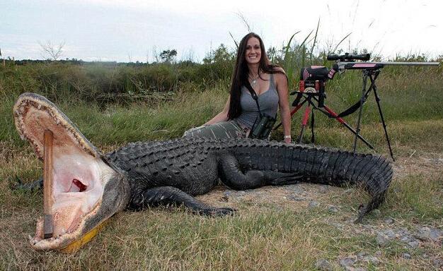 禁獵期結束,獵人舉獵槍大開殺戒,獅子犀牛都遭殃,讓人心寒!