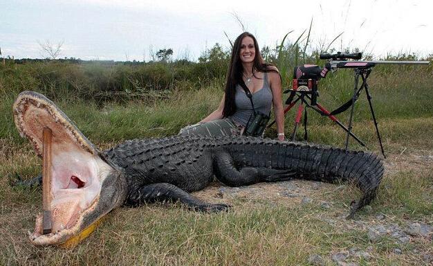 禁獵期結束，獵人舉獵槍大開殺戒，獅子犀牛都遭殃，讓人心寒！